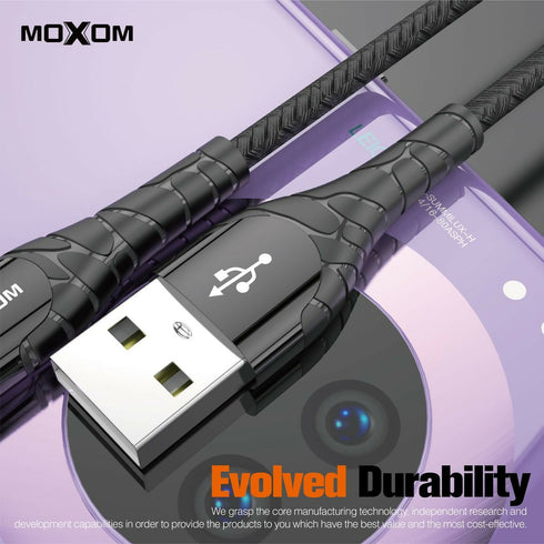 CB-31 Lightning Fast Charging Cable - 2.4A Speed with LED Light